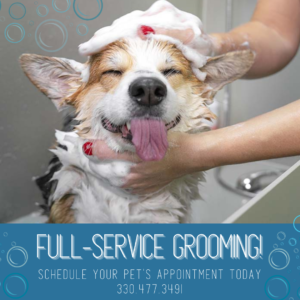 Veterinarian Grooming Services